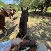Cabalgatas