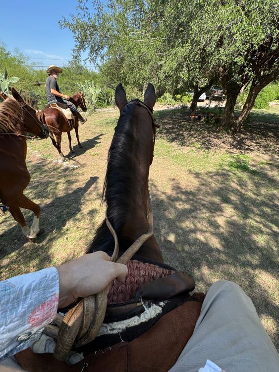 Cabalgatas