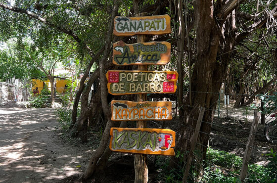 Caminos