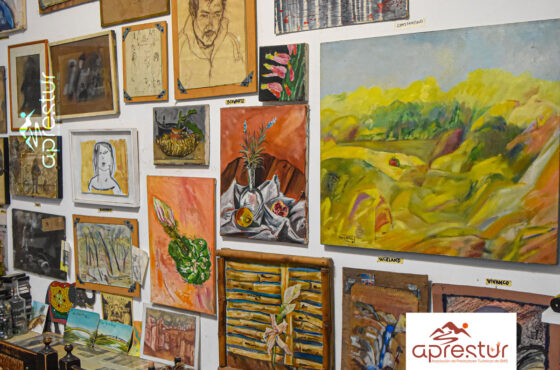 Museo Hippie