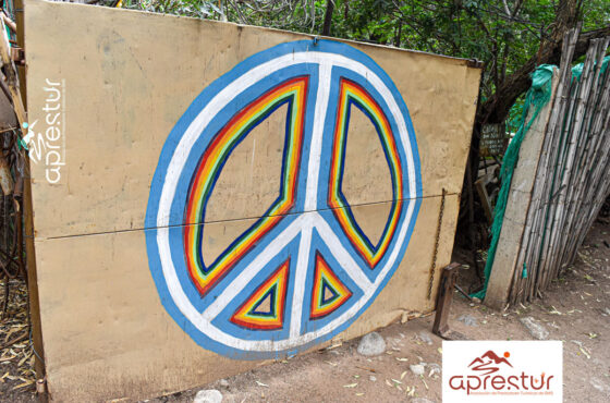 Museo Hippie